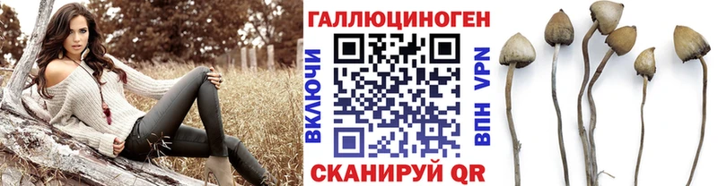Галлюциногенные грибы Magic Shrooms цены наркотик Калуга